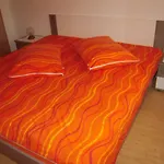 Apartmaji In Sobe Cuder