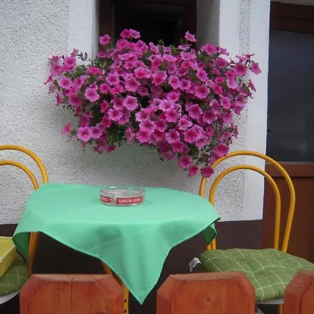 Apartmaji In Sobe Cuder 2* Soča