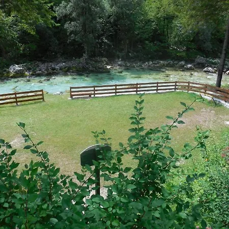 Apartmaji In Sobe Cuder