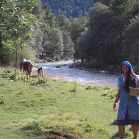 Apartmaji In Sobe Cuder