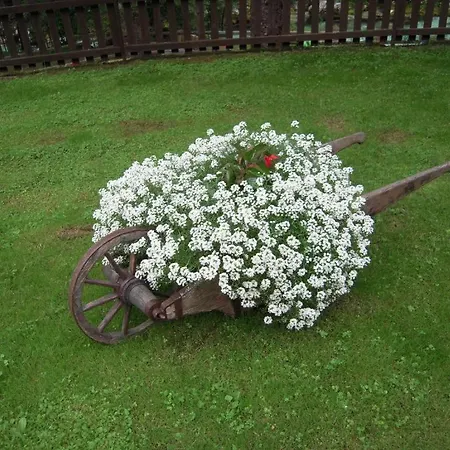 בית הארחה Apartmaji In Sobe Cuder Soča