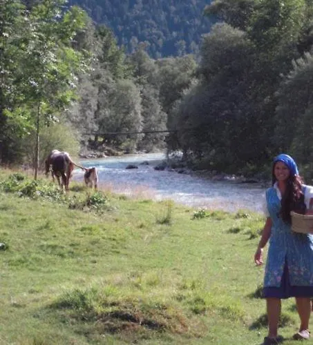 Apartmaji In Sobe Cuder