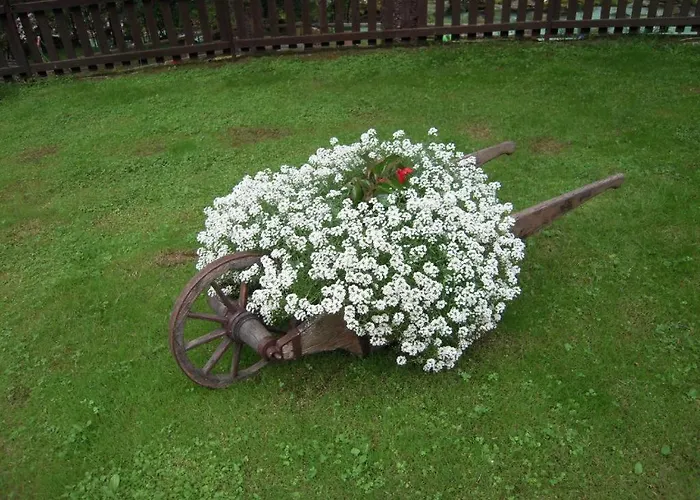 Affittacamere Apartmaji In Sobe Cuder Soča